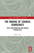 Babak Amini, Amini Babak - The Making of Council Democracy