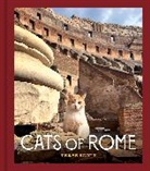 Traer Scott, Scott Traer, Traer Scott - Cats of Rome