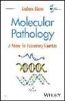 Andrew Blann, Andrew (City Hospital Blann, Andrew (Huddersfield University Blann, Blann Andrew - Molecular Pathology