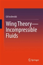 Gil Iosilevskii - Wing Theory-Incompressible Fluids
