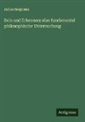 Julius Bergmann - Sein und Erkennen: eine fundamental philosophische Untersuchung