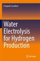 Pasquale Cavaliere - Water Electrolysis for Hydrogen Production