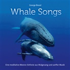 Whale Songs (Audio book)