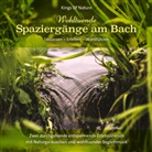 Wohltuende Spaziergänge am Bach (Audio book)