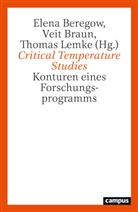 Elena Beregow, Veit Braun, Thomas Lemke - Critical Temperature Studies