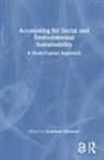 Delphine Gibassier, Delphine Gibassier - Accounting for Social and Environmental Sustainability