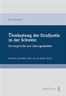 Sven Zimmerlin - Überlastung der Strafjustiz in der Schweiz – Hintergründe und Lösungsansätze