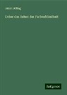 Jakob Stilling - Ueber das Sehen der Farbenblindheit