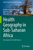 Elijah Bisung, Joseph Asumah Braimah, Vincent Kuuire - Health Geography in Sub-Saharan Africa