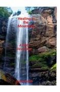 Jamie Smith - Healing In The Mourning A Daily Devotional