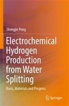 Shengjie Peng - Electrochemical Hydrogen Production from Water Splitting