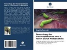 Rogério Tomanini - Bewertung der Virulenzfaktoren von H. Pylori durch Probenahme