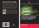 Qurteeba Qadri, Zafar A. Shah - Inflamação induzida por H.pylori na patogénese do cancro gástrico