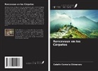 Catalin Corneliu Ghinararu - Roncevaux en los Cárpatos