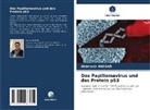 Abdelaziz Haddad - Das Papillomavirus und das Protein p53