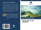 Catalin Corneliu Ghinararu - Roncevaux in den Karpaten