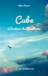 Biljana Popovic - Cube
