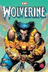 DeFalco Tom, Larry Hama, Hama Larry, Adam Kubert, Loeb Jeph, Marvel Various... - Wolverine Omnibus Vol. 6 Leinil Yu Cover