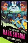 Patrick Gallagher, Gallagher Patrick - Transcendent: Dark Swarm (Book 2)