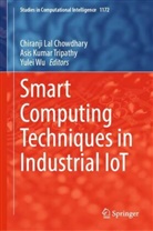 Chiranji Lal Chowdhary, Asis Kumar Tripathy, Asis Kumar Tripathy, Yulei Wu - Smart Computing Techniques in Industrial IoT