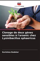 Karishma Badekar - Clonage de deux gènes sensibles à l'arsenic chez Lysinibacillus sphaericus