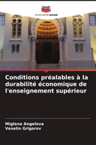 Miglena Angelova, Veselin Grigorov - Conditions préalables à la durabilité économique de l'enseignement supérieur