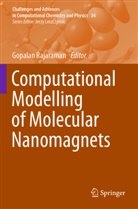 Gopalan Rajaraman - Computational Modelling of Molecular Nanomagnets
