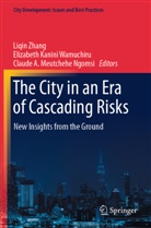 Cl A Meutchehe Ngomsi, Elizabeth Kanini Wamuchiru, Claude A. Meutchehe Ngomsi, Liqin Zhang - The City in an Era of Cascading Risks
