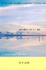 Chip Ward - Canaries on the Rim