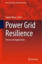 Jianhui Wang - Power Grid Resilience
