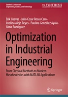 Alejo Reyes, Avelina Alejo Reyes, Erik Cuevas, Paulina González Ayala, Alma Rodriguez, Julio Cesar Rosas Caro - Optimization in Industrial Engineering