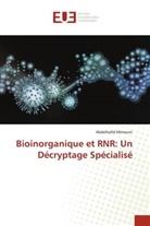 Abdelhafid Mimouni - Bioinorganique et RNR: Un Décryptage Spécialisé