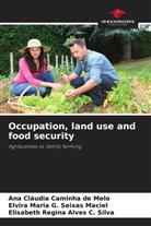 Ana Cláudia Caminha de Melo, Elvira Maria G. Seixas Maciel, Elisabeth Regina Alves C. Silva - Occupation, land use and food security