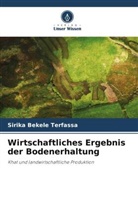 Sirika Bekele Terfassa - Wirtschaftliches Ergebnis der Bodenerhaltung