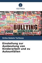 Sirika Bekele Terfassa - Einstellung zur Ausbeutung von Kinderarbeit und zu Autounfällen