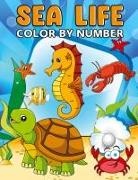 Laura Bidden - Sea Life Color By Number