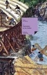 Tirso De Molina - Amazonas en las Indias