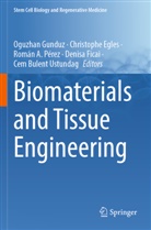 Román A Pérez et al, Christophe Egles, Denisa Ficai, Oguzhan Gunduz, Román A. Pérez, Cem Bulent Ustundag - Biomaterials and Tissue Engineering
