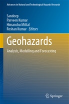 Parveen Kumar, Roshan Kumar, Himanshu Mittal, Himanshu Mittal et al, Sandeep - Geohazards