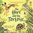 Lesley Sims, Sims Lesley, SIMS/LECHUGA, Maribel Lechuga, Lechuga Maribel - Hare and the Tortoise