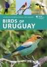 Rafael Tosi German, Rafael Tosi Germán, Florencia Ocampo - Birds of Uruguay