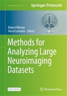 Lemaître, Hervé Lemaître, Robert Whelan - Methods for Analyzing Large Neuroimaging Datasets