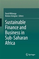 Dzingirai, Mufaro Dzingirai, David Mhlanga - Sustainable Finance and Business in Sub-Saharan Africa