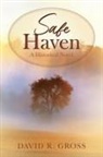 David R. Gross - Safe Haven