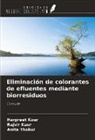 Harpreet Kaur, Rajvir Kaur, Anita Thakur - Eliminación de colorantes de efluentes mediante biorresiduos