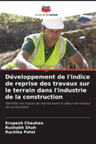 Krupesh Chauhan, Ruchika Patel, Rushabh Shah - Développement de l'indice de reprise des travaux sur le terrain dans l'industrie de la construction