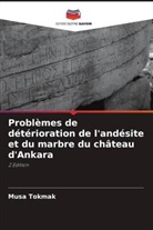 Musa Tokmak - Problèmes de détérioration de l'andésite et du marbre du château d'Ankara