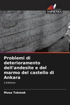 Musa Tokmak - Problemi di deterioramento dell'andesite e del marmo del castello di Ankara