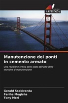 Tony Meri, Feriha Mugisha, Gerald Ssekiranda - Manutenzione dei ponti in cemento armato