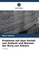 Musa Tokmak - Probleme mit dem Verfall von Andesit und Marmor der Burg von Ankara